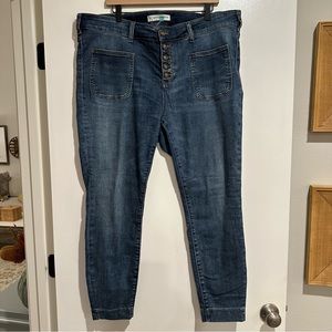Anthropologie Pilcro and the Letterpress plus button fly jeans 20W